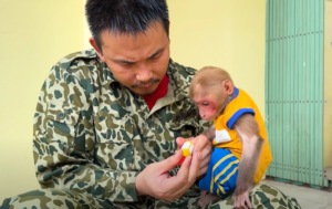 Meet Monkey BiBi: The Clever and Adorable Primate Influencer