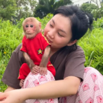 Meet Monkey BiBi: The Clever and Adorable Primate Influencer